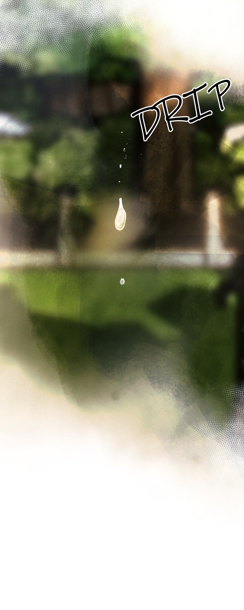 50296848 800 2000 189781